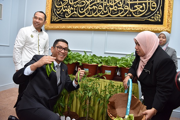 Kerajaan Negeri Perak Sedia Kit Pakej Bumi Hijau, Galak Komuniti Bercucuk Tanam. : 25 Jun 2020